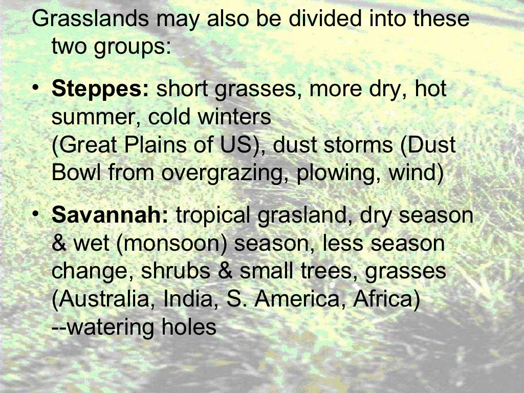 Grassland notes Notes on world's grassland types & organisms' adapt…