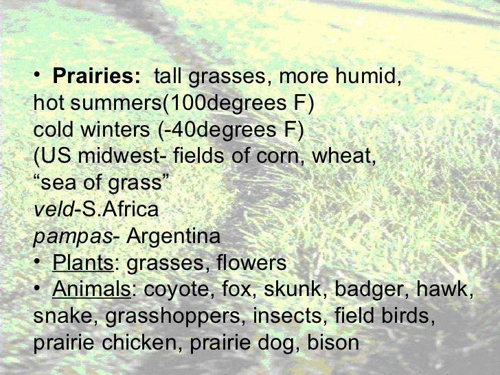 Grassland notes Notes on world's grassland types & organisms' adapt…