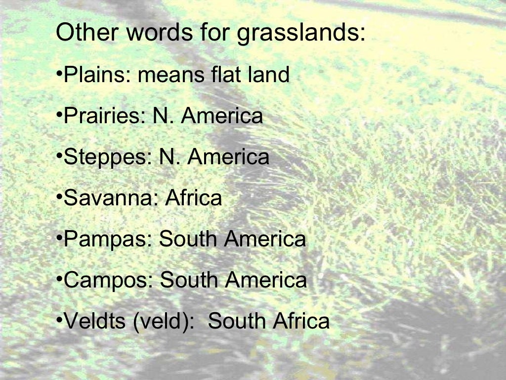 Grassland notes Notes on world's grassland types & organisms' adapt…