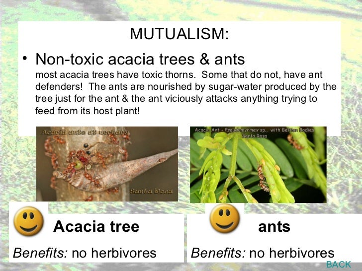 Grassland notes Notes on world's grassland types & organisms' adapt…