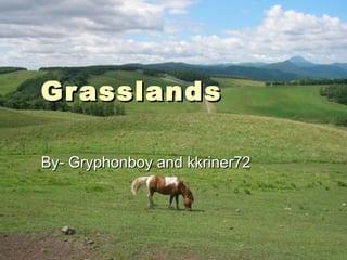 Grasslands By- Gryphonboy and kkriner72 