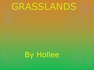 GRASSLANDS




  By Hollee
 