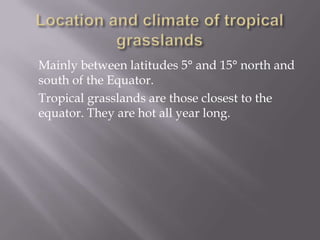 Mainly between latitudes 5° and 15° north and
south of the Equator.
Tropical grasslands are those closest to the
equator. They are hot all year long.
 