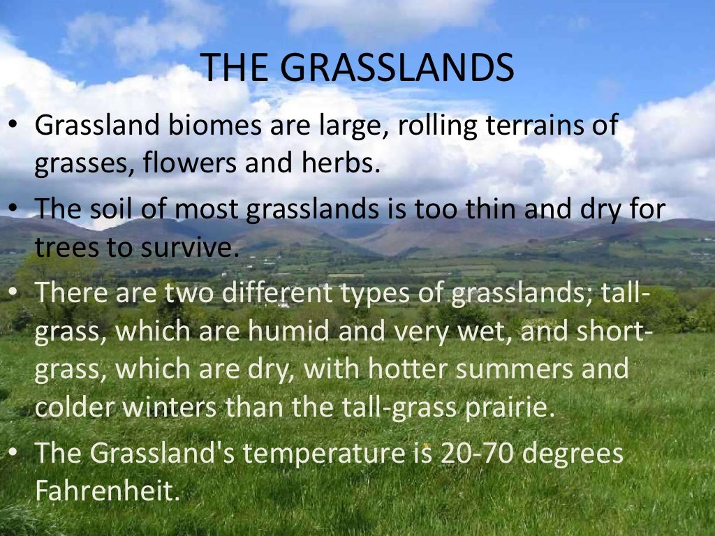 Grasslands another copy