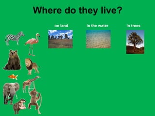 Where do they live? 
on land in the water in trees 
 