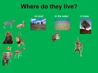 Where do they live? 
on land in the water in trees 
 