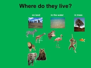 Where do they live? 
on land in the water in trees 
