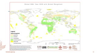 Mapping as a tool for filling data gaps in grasslands and savannahs