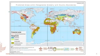 Mapping as a tool for filling data gaps in grasslands and savannahs