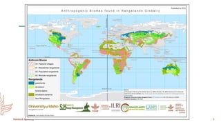 Mapping as a tool for filling data gaps in grasslands and savannahs