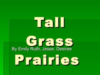 Tall Grass Prairies  By Emily Ruth, Jesse, Desiree 