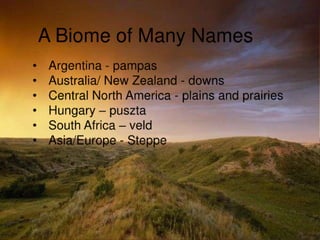 Grasslands pp show view