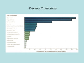 Primary Productivity
 