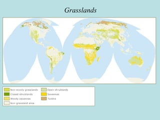 Grasslands
 