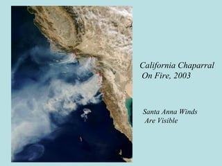 California Chaparral
On Fire, 2003
Santa Anna Winds
Are Visible
 