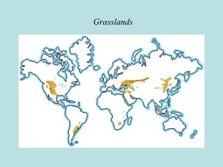 Grasslands
 