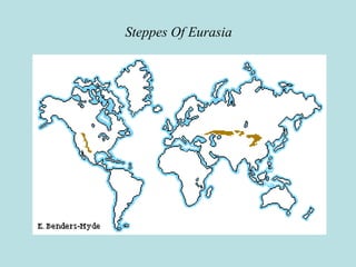Steppes Of Eurasia
 