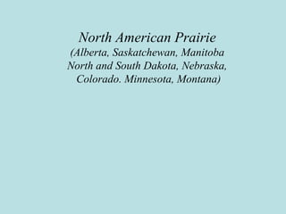 North American Prairie
(Alberta, Saskatchewan, Manitoba
North and South Dakota, Nebraska,
Colorado. Minnesota, Montana)
 