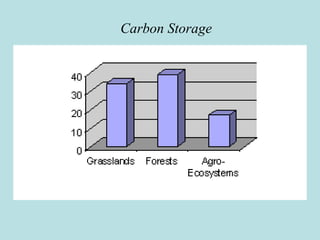 Carbon Storage
 