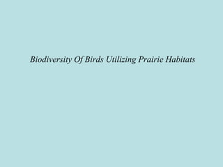 Biodiversity Of Birds Utilizing Prairie Habitats
 