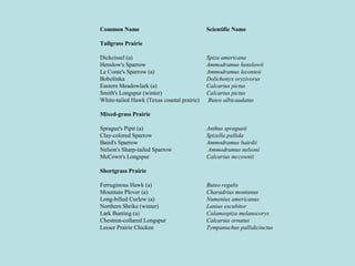 Common Name Scientific Name
Tallgrass Prairie
Dickcissel (a) Spiza americana
Henslow's Sparrow Ammodramus henslowii
Le Conte's Sparrow (a) Ammodramus leconteii
Bobolinka Dolichonyx oryzivorus
Eastern Meadowlark (a) Calcarius pictus
Smith's Longspur (winter) Calcarius pictus
White-tailed Hawk (Texas coastal prairie) Buteo albicaudatus
Mixed-grass Prairie
Sprague's Pipit (a) Anthus spragueii
Clay-colored Sparrow Spizella pallida
Baird's Sparrow Ammodramus bairdii
Nelson's Sharp-tailed Sparrow Ammodramus nelsoni
McCown's Longspur Calcarius mccownii
Shortgrass Prairie
Ferruginous Hawk (a) Buteo regalis
Mountain Plover (a) Charadrius montanus
Long-billed Curlew (a) Numenius americanus
Northern Shrike (winter) Lanius excubitor
Lark Bunting (a) Calamospiza melanocorys
Chestnut-collared Longspur Calcarius ornatus
Lesser Prairie Chicken Tympanuchus pallidicinctus
 