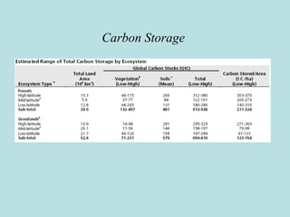 Carbon Storage
 