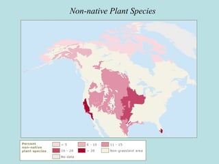 Non-native Plant Species
 