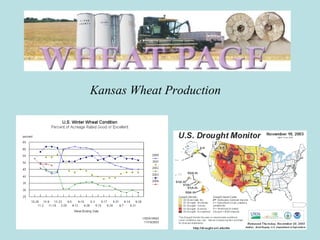 Kansas Wheat Production
 