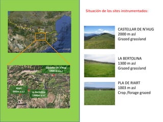 Solsona
La Bertolina
1300m a.s.l
Castellar de n’Hug
1900 m a.s.l
Riart
900m a.s.l
Situación de los sites instrumentados:
PLA DE RIART
1003 m asl
Crop /forage grazed
LA BERTOLINA
1300 m asl
Grazed grassland
CASTELLAR DE N’HUG
2000 m asl
Grazed grassland
 