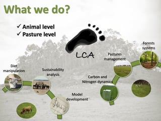 Diet
manipulation Sustainability
analysis
Model
development
Carbon and
Nitrogen dynamics
Pastures
management
Forests
systems
What we do?
LCA
 Animal level
 Pasture level
 