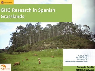 GHG Research in Spanish
Grasslands
Fernando Estellés
REMEDIA Network
 