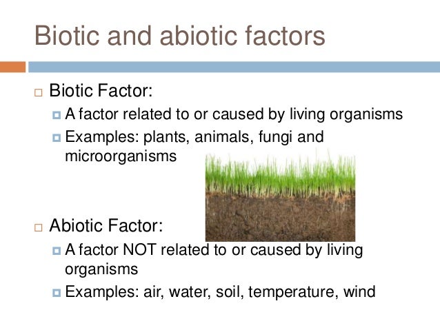 Biotic Factors in the Grassland Biome