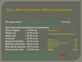 The area under permanent pastures and grass lands – 13 m.ha
Area degraded through special problems:
Water logged – 11.60 m.ha
Alkali soil - 04.50 m.ha
Saline soil - 05.50 m.ha
Acid soil - 25.00 m.ha
Ravines & Gullies – 03.97 m.ha
Shifting cultivation – 04.91 m.ha
Riverine & torrents – 02.73 m.ha
Flood porne area - 40.00 m.ha
The grassland survey carried out by the ICAR (Indian Grassland
and Fodder Research Institute, Jhansi)
Total land resource – 328.720 m ha
The available land resources for grazing
Land resource Percent
Forest cover 21.05
Permanent pasture 3.94
Miscellaneous tree crops and grooves 1.14
Cultivable wasteland 5.08
Fallow lands 7.52
Total 38.73
 