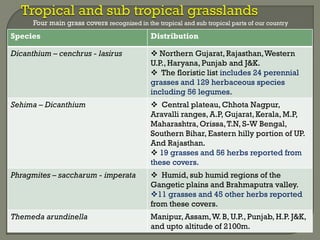 Four main grass covers recognized in the tropical and sub tropical parts of our country
Species Distribution
Dicanthium – cenchrus - lasirus  Northern Gujarat, Rajasthan,Western
U.P., Haryana, Punjab and J&K.
 The floristic list includes 24 perennial
grasses and 129 herbaceous species
including 56 legumes.
Sehima – Dicanthium  Central plateau, Chhota Nagpur,
Aravalli ranges, A.P, Gujarat, Kerala, M.P,
Maharashtra,Orissa,T.N, S-W Bengal,
Southern Bihar, Eastern hilly portion of UP.
And Rajasthan.
 19 grasses and 56 herbs reported from
these covers.
Phragmites – saccharum - imperata  Humid, sub humid regions of the
Gangetic plains and Brahmaputra valley.
11 grasses and 45 other herbs reported
from these covers.
Themeda arundinella Manipur, Assam,W. B, U.P., Punjab, H.P. J&K,
and upto altitude of 2100m.
 