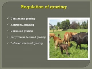 Regulation of grazing:
 Continuous grazing
 Rotational grazing
 Controlled grazing
 Early versus deferred grazing
 Deferred rotational grazing
 