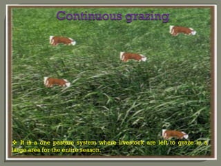  It is a one pasture system where livestock are left to graze in a
large area for the entire season.
 