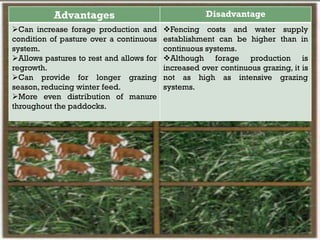 Advantages Disadvantage
Can increase forage production and
condition of pasture over a continuous
system.
Allows pastures to rest and allows for
regrowth.
Can provide for longer grazing
season, reducing winter feed.
More even distribution of manure
throughout the paddocks.
Fencing costs and water supply
establishment can be higher than in
continuous systems.
Although forage production is
increased over continuous grazing, it is
not as high as intensive grazing
systems.
 