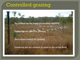 Regulation on the basis of carrying capacity
Pasture lands open for grazing
And others closed for grazing
Livestock are not allowed to roam in the entire field
 