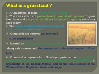 What is a grassland ?
 A “grassland” or more appropriately, a “range”.
 ‘The areas which are predominantly covered with grasses or grass
like plants and are primarily utilized as forage for grazing animals or
used as hay’.
 The annual rainfall is insufficient to support
a luxuriant growth of trees.
 Grasslands are however not restricted
to low rainfall areas.
 Located on hill slopes with patches of forests
along nala courses and depressions as in the shola region of South
India.
 Grassland ecosystems form Himalayan pastures, the terai grassland
of the foothills, semi-arid grasslands of Western and Central India, in
scrublands of the Deccan Plateau and in the Shola forests of the
Western Ghats, Nilgiri and Anaimalai ranges.
 