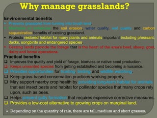 Thus depending on the quantity of rain, there are tall, medium and short grasses.
Why manage grasslands?
Environmental benefits
 Prevents grassland from turning into brush land.
 Maintains or enhances the soil erosion, water quality, soil quality and carbon
sequestration benefits of existing grassland.
 Protects restored habitat for many plants and animals important including pheasant,
ducks, songbirds and endangered species.
 Grazing lands provide the forage that is the heart of the area's beef, sheep, goat,
dairy and horse operations.
Practical benefits
 Improves the quality and yield of forage, biomass or native seed
production.
 Keeps unwanted species from getting established and becoming a
nuisance.
 Provides opportunities for hunting, birding and wildlife watching.
 Keep grass-based conservation practices working properly.
 May support nearby crop health by providing long-term habitat for animals
that eat insect pests and habitat for pollinator species that many crops rely
upon, such as bees.
 Helps prevent gully formation that requires expensive corrective measures.
 Provides a low-cost alternative to growing crops on marginal land.
 