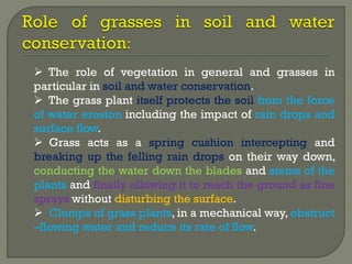  The role of vegetation in general and grasses in
particular in soil and water conservation.
 The grass plant itself protects the soil from the force
of water erosion including the impact of rain drops and
surface flow.
 Grass acts as a spring cushion intercepting and
breaking up the felling rain drops on their way down,
conducting the water down the blades and stems of the
plants and finally allowing it to reach the ground as fine
sprays without disturbing the surface.
 Clumps of grass plants, in a mechanical way, obstruct
–flowing water and reduce its rate of flow.
 