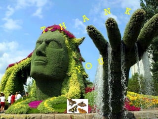 References:
Rajora rajesh,(1998): Integrated watershed management,Rajwat
publication, Jaipur.pg.no 381 – 406
Dhurva Narayan V.V.(1998) Soil and water conservation Research
in Indis, CSWCRTI, Dehradun.
Chinnamani,S. and Bonde ,W.C.(1993) Selection of grasses for
soil conservation in Hyderabad.CSWCRTI, Dehradun.
Chittaranjan,S. (2001) ,Indicator plants and animals for
grasslands Indian Forester, 91(9).
www.eco- pros.com
www.paulnoll.com
 