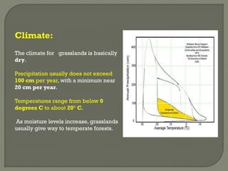 Climate:
The climate for grasslands is basically
dry.
Precipitation usually does not exceed
100 cm per year, with a minimum near
20 cm per year.
Temperatures range from below 0
degrees C to about 20° C.
As moisture levels increase, grasslands
usually give way to temperate forests.
 