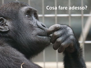 Cosa fare adesso?
 