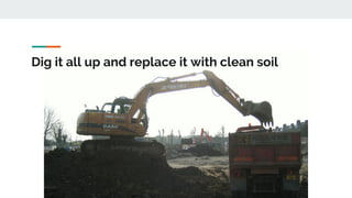 Dig it all up and replace it with clean soil
 