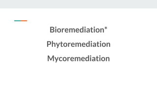 Bioremediation*
Phytoremediation
Mycoremediation
 