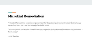 Microbial Remediation
“Microbial Remediation uses microorganism to either degrade organic contaminants or to bind heavy
metals into more inert and less biological available forms.
“Microorganisms break down contaminants by using them as a food source or metabolizing them with a
food source.”
-Leila Darwish
 