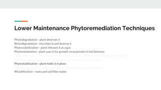 Lower Maintenance Phytoremediation Techniques
Phytodegradation - plant destroys it
Rhizodegradation - microbes in soil destroy it
Phytovolatilization - plant releases it as a gas
Phytometabolism - plant uses it for growth, incorporates it into biomass
Phytoextraction - plant extracts and stores it, must be harvest and removed for treatment
Phytohydraulics - plant pulls up water, contaminants may come with it
Phytostabilization - plant holds it in place
Phytoaccumulation - plant collects contaminants from air and stores it
Rhizofiltration - roots and soil filter water
 