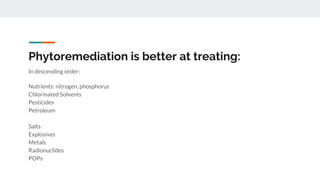 Phytoremediation is better at treating:
In descending order:
Nutrients: nitrogen, phosphorus
Chlorinated Solvents
Pesticides
Petroleum
Salts
Explosives
Metals
Radionuclides
POPs
 