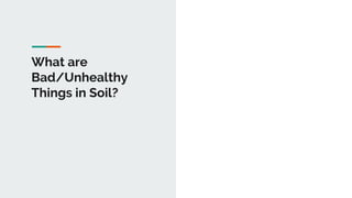 What are
Bad/Unhealthy
Things in Soil?
 